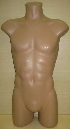 Männliches Torso 3/4 Körper