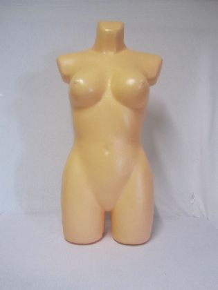 Weibliches ¾ Torso, Körperfarbe