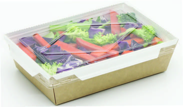 Menubox ECO friedly 1200ml, 198x138x50mm,